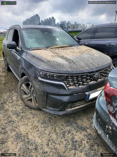 2021 Kia Sorento KNARH81GBMA043512 VIN:KNARH81GBMA043512