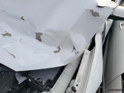 2019 Hyundai Kona KMHK4815GKU400685 VIN:KMHK4815GKU400685