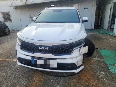 2023 Kia Sorento KNARH81GBPA214993 VIN:KNARH81GBPA214993