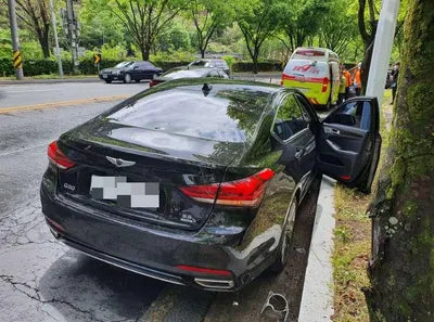 2019 Genesis G80 KMHGM41DDKU307950 VIN:KMHGM41DDKU307950