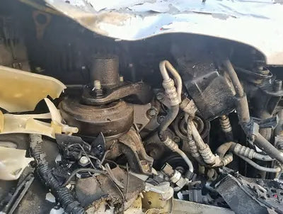 2018 Hyundai Santa FE KMHSW81UBJU779959 VIN:KMHSW81UBJU779959