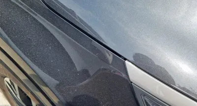 2021 Kia Carnival KNANB81BBMS113372 VIN:KNANB81BBMS113372
