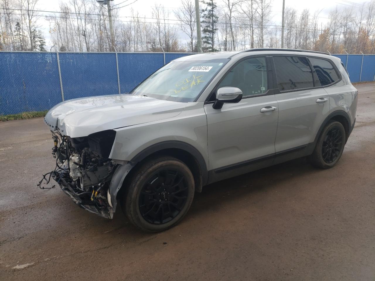 2022 KIA TELLURIDE SX VIN:5XYP5DHC2NG262674