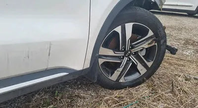 2021 Kia Sorento KNARH81GBMA021079 VIN:KNARH81GBMA021079