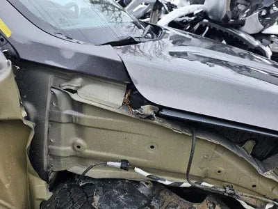 2021 Hyundai Santa FE KMHS281LGMU385254 VIN:KMHS281LGMU385254