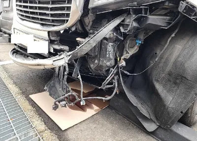 2018 Kia Carnival KNAMC81ABJS419807 VIN:KNAMC81ABJS419807