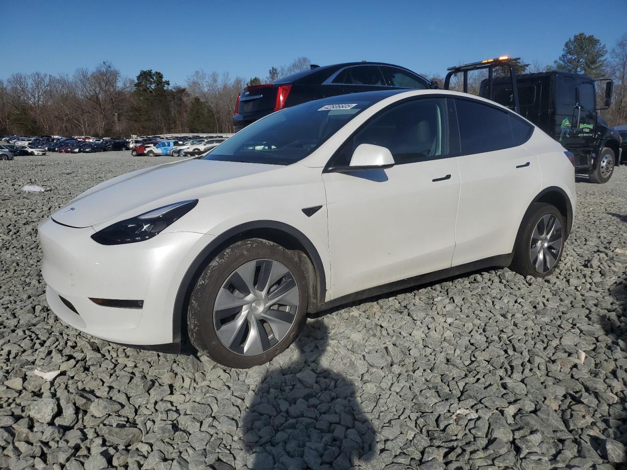 2023 TESLA MODEL Y  VIN:7SAYGDEE5PF770042