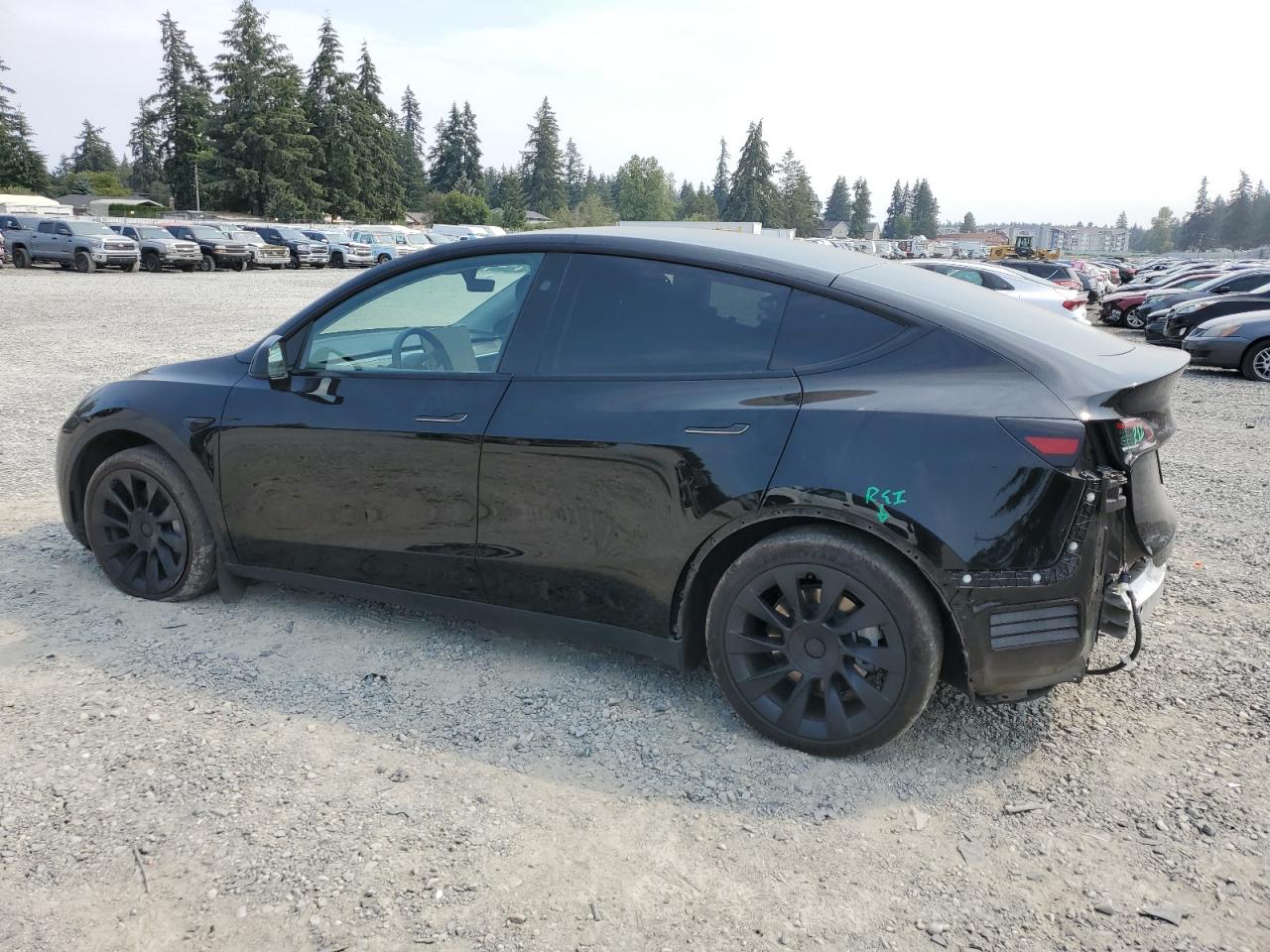 2023 TESLA MODEL Y  VIN:7SAYGAEE6PF874750