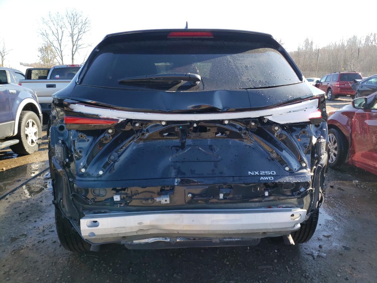 2023 LEXUS NX 250 VIN:2T2ADCEZ8PC002897