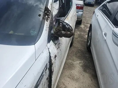 2016 Kia K5 KNAGU416BGA019903 VIN:KNAGU416BGA019903
