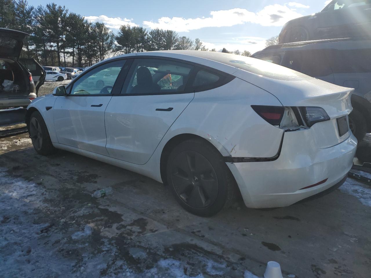 2023 TESLA MODEL 3  VIN:5YJ3E1EAXPF419930