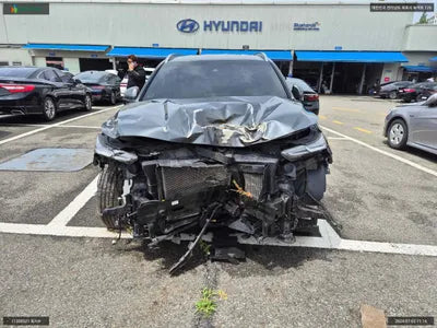 2019 Hyundai Santa FE KMHS381BBKU161861 VIN:KMHS381BBKU161861