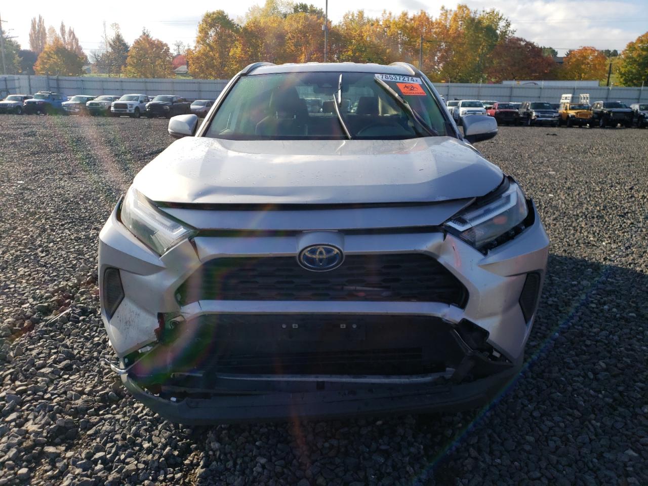 2023 TOYOTA RAV4 XLE VIN:JTMRWRFVXPJ056125