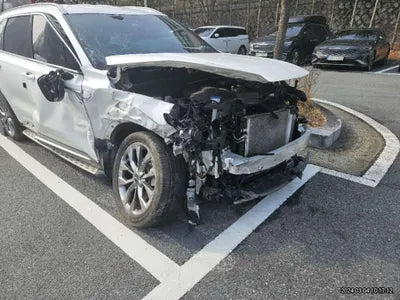 2022 Kia Sorento KNARF81BHNA116795 VIN:KNARF81BHNA116795