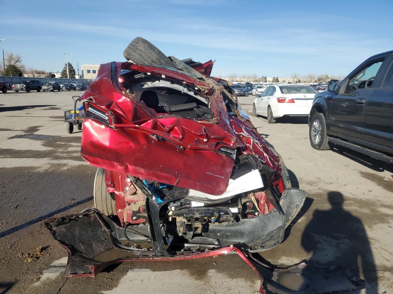 2024 TESLA MODEL Y  VIN:7SAYGDEE5RA223790