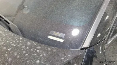 2021 Audi S7 WAUZZZF24MN088101 VIN:WAUZZZF24MN088101