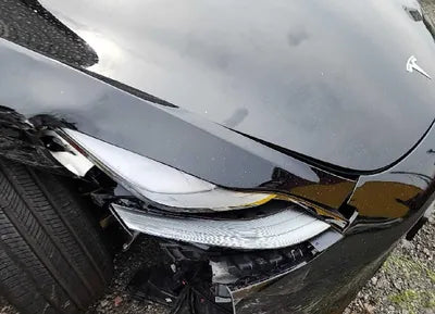 2021 Tesla Model 3 5YJ3E1EB3MF951606 VIN:5YJ3E1EB3MF951606