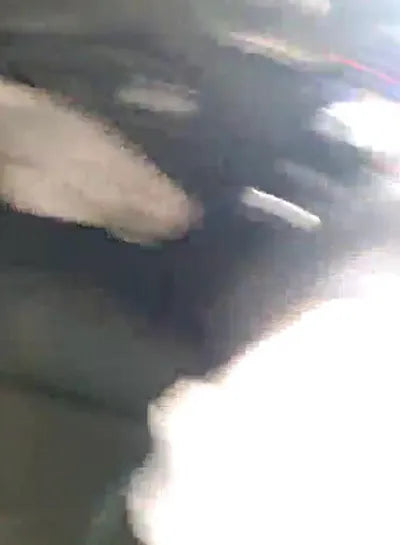 2019 Mercedes-Benz GLC 300 WDC0G4KB4KF665267 VIN:WDC0G4KB4KF665267