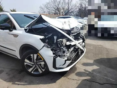 2021 Kia Sorento KNARF81GDMA045087 VIN:KNARF81GDMA045087