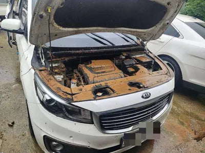 2017 Kia Carnival VIN: