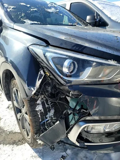 2016 Hyundai Santa FE KMHSW81XBGU540496 VIN:KMHSW81XBGU540496