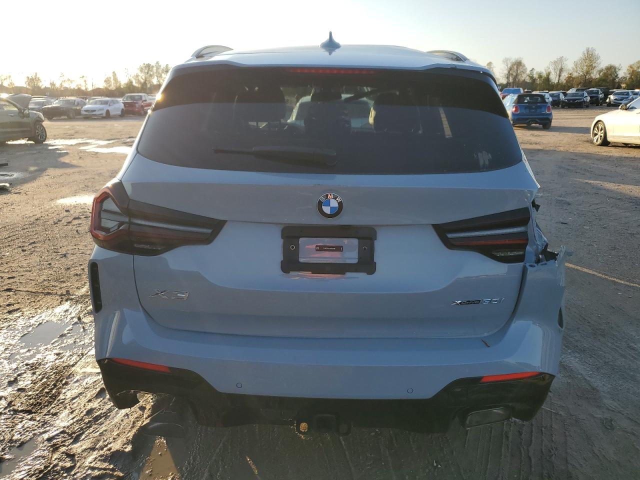 2024 BMW X3 XDRIVE30I VIN:5UX53DP05R9U07460