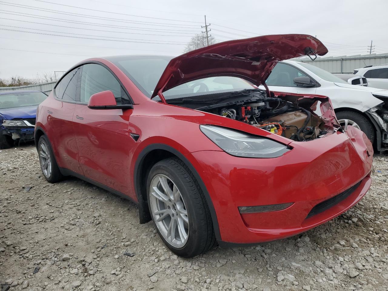 2023 TESLA MODEL Y  VIN:7SAYGDEE6PF669205