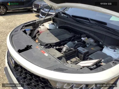 2021 Kia Sorento KNARF81BHMA088631 VIN:KNARF81BHMA088631