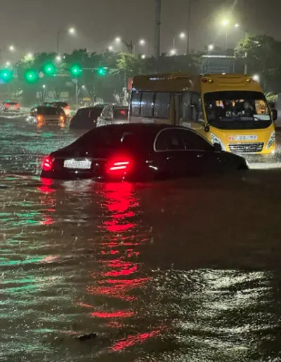 2020 Mercedes-Benz E 250 W1KZF4FB5LA820973 VIN:W1KZF4FB5LA820973