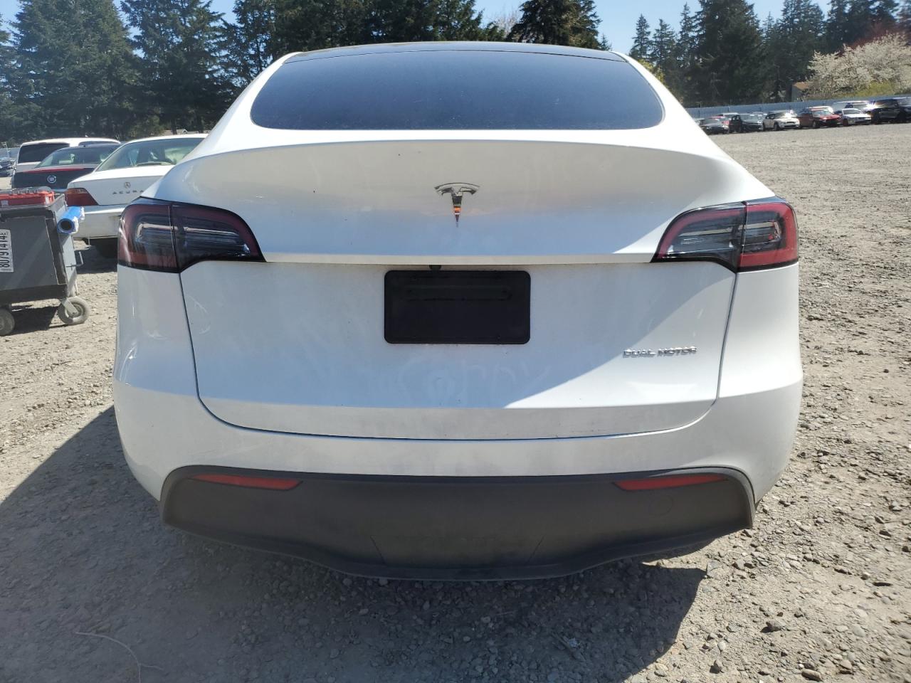 2023 TESLA MODEL Y  VIN:7SAYGDEE3PF751019
