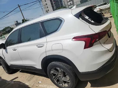 2021 Hyundai Santa FE KMHS381HGMU344096 VIN:KMHS381HGMU344096