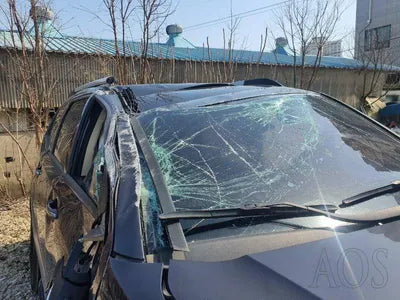 2019 Kia Mohave KNAKN814DKA193485 VIN:KNAKN814DKA193485