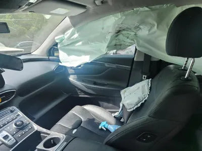 2020 Hyundai Santa FE KMHS381HGMU328111 VIN:KMHS381HGMU328111