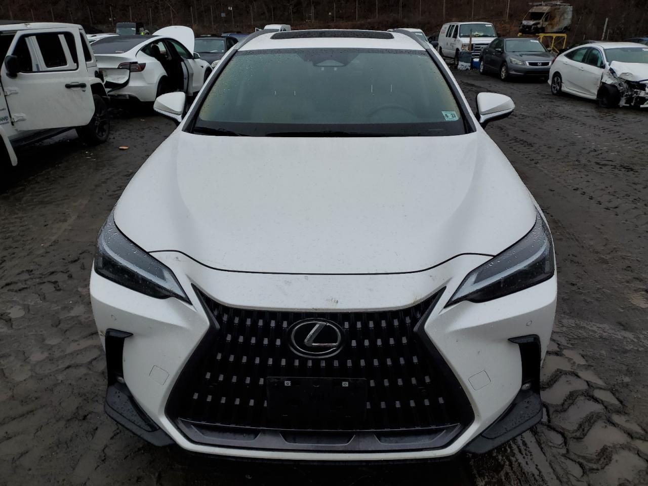 2022 LEXUS NX 350 VIN:2T2GGCEZXNC002950