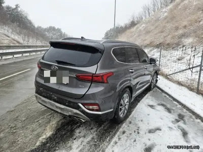 2019 Hyundai Santa FE KMHS381CBKU023445 VIN:KMHS381CBKU023445
