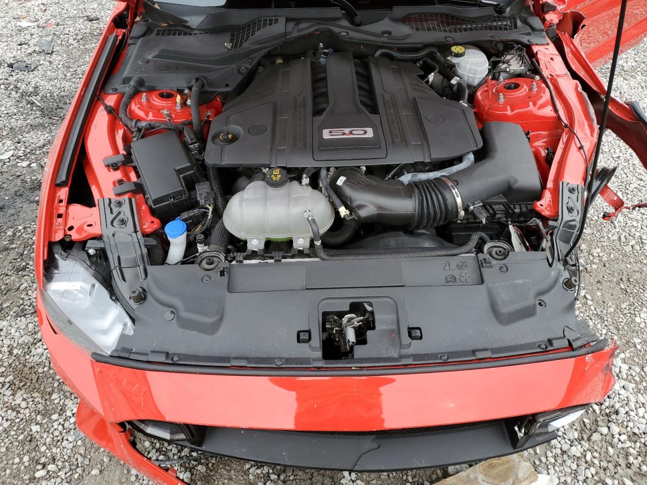 2023 FORD MUSTANG GT VIN:1FA6P8CF1P5303733