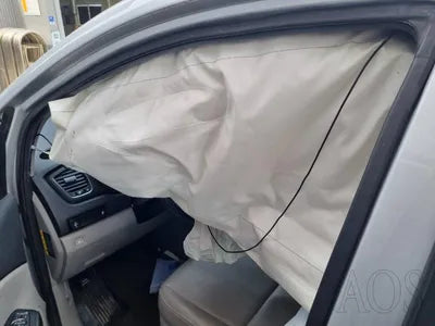 2019 Kia Carnival KNAMB81ABLS621274 VIN:KNAMB81ABLS621274