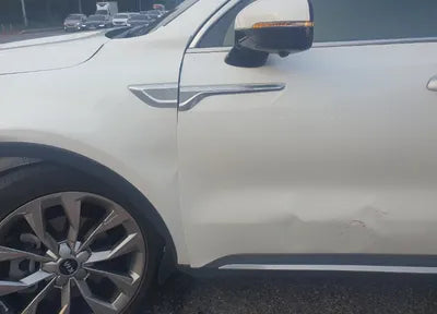 2021 Kia Sorento KNARF81BHMA034257 VIN:KNARF81BHMA034257