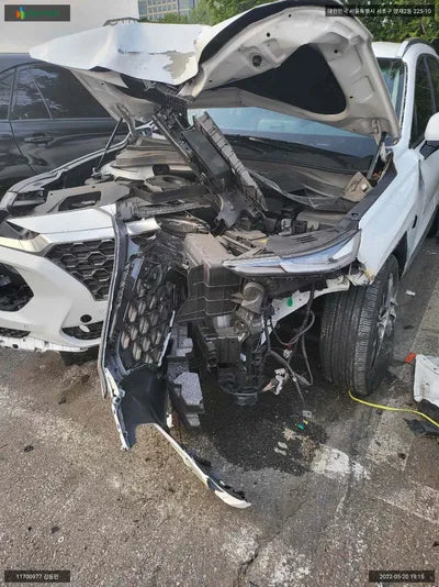 2019 Hyundai Santa FE KMHS381ABLU193107 VIN:KMHS381ABLU193107