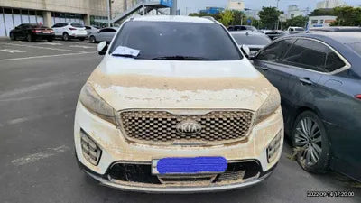 2017 Kia Sorento 417KMKNAPK81BBHA3 VIN:417KMKNAPK81BBHA3