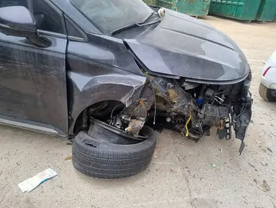 2023 Kia Carnival KNANE81BBPS235891 VIN:KNANE81BBPS235891