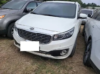 2018 Kia Carnival KNAMC81ABJS411166 VIN:KNAMC81ABJS411166