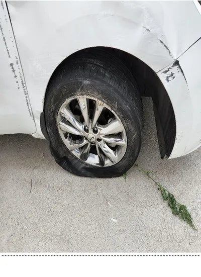 2019 Kia Carnival KNAME81ABKS590723 VIN:KNAME81ABKS590723