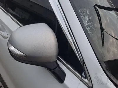 2019 Hyundai Santa FE KMHS581CBKU081567 VIN:KMHS581CBKU081567