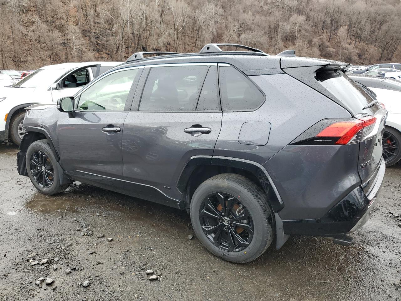 2024 TOYOTA RAV4 XSE VIN:JTME6RFV7RJ059209