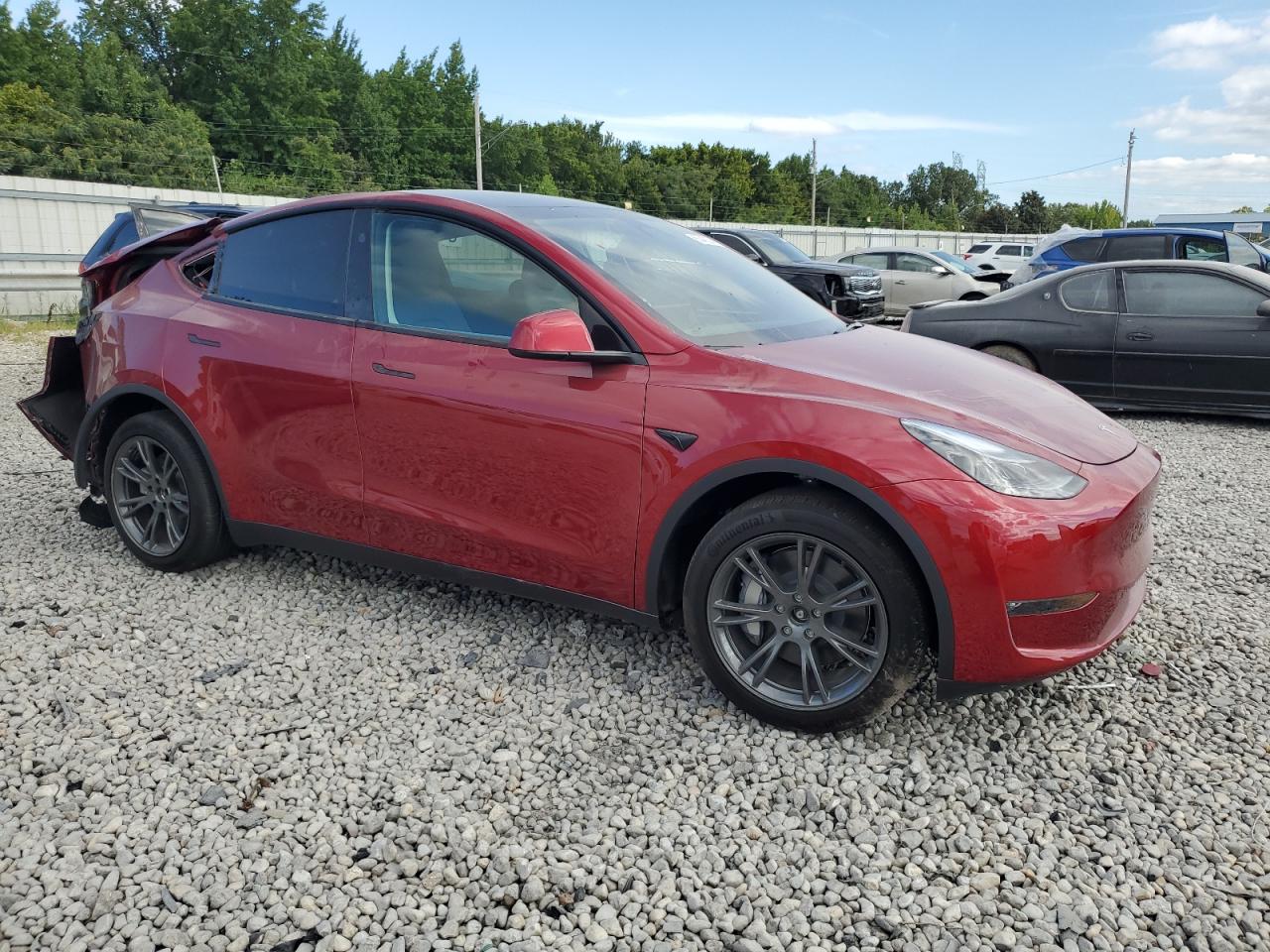 2024 TESLA MODEL Y  VIN:7SAYGDEE5RF133803