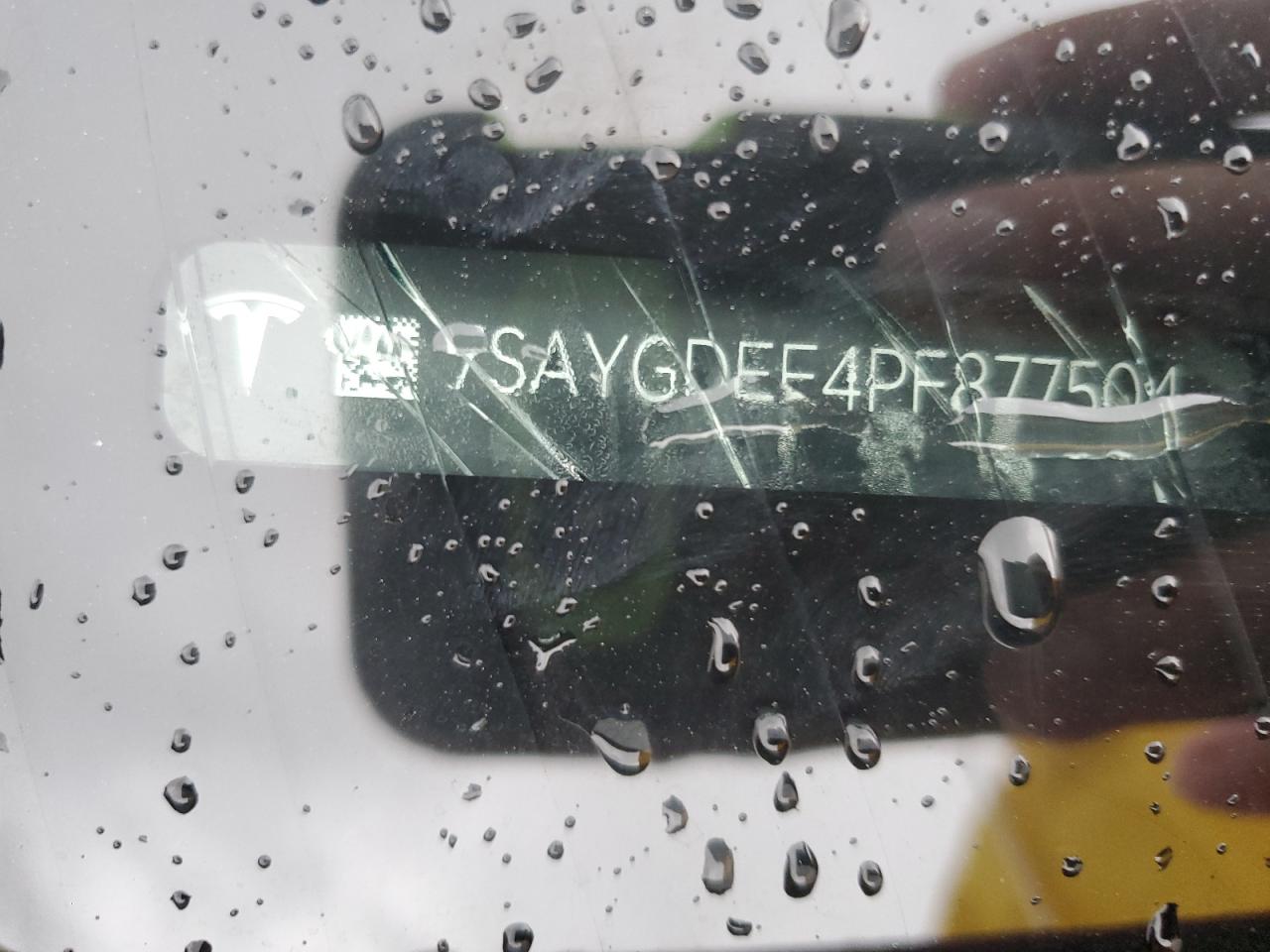 2023 TESLA MODEL Y  VIN:7SAYGDEE4PF877504
