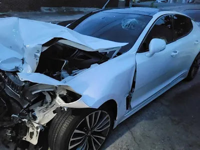 2019 Kia Stinger KNAE351ABKS058699 VIN:KNAE351ABKS058699