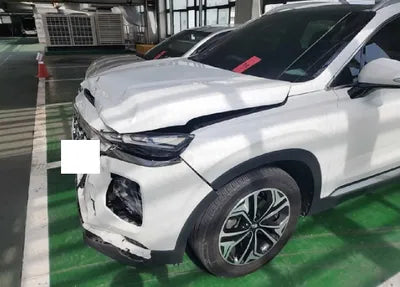 2019 Hyundai Santa FE KMHS381CDKU013123 VIN:KMHS381CDKU013123