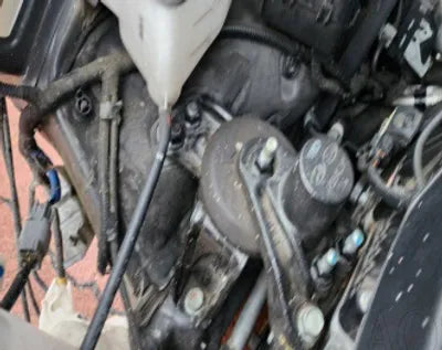 2020 Hyundai Santa FE KMHS281BBLU219597 VIN:KMHS281BBLU219597